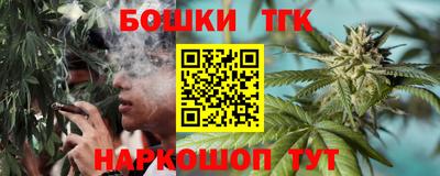 МДПВ Дубна