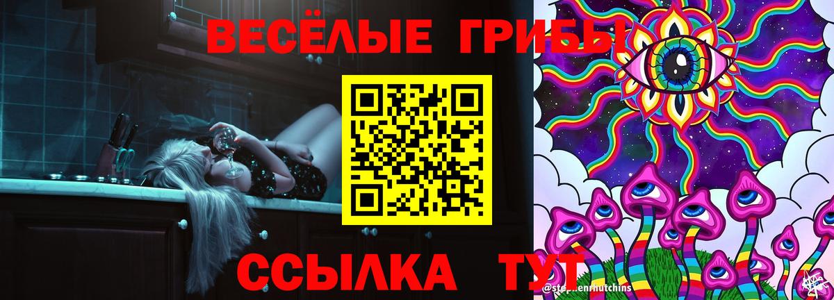 Можга  Псилоцибиновые грибы Magic Shrooms  Вход с VPN 