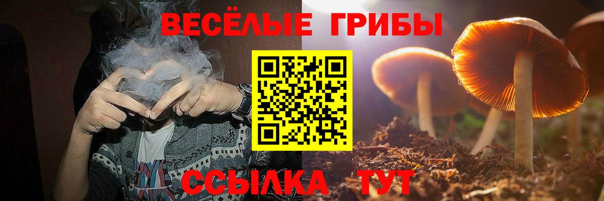 Галлюциногенные грибы Magic Shrooms Можга